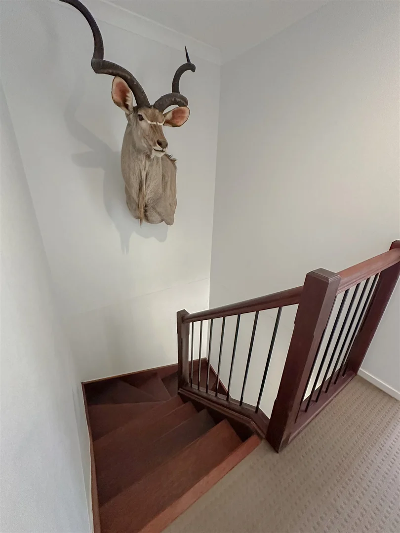 Additional image 13 of 3/12 O'Mara Terrace, Stanthorpe QLD 4380