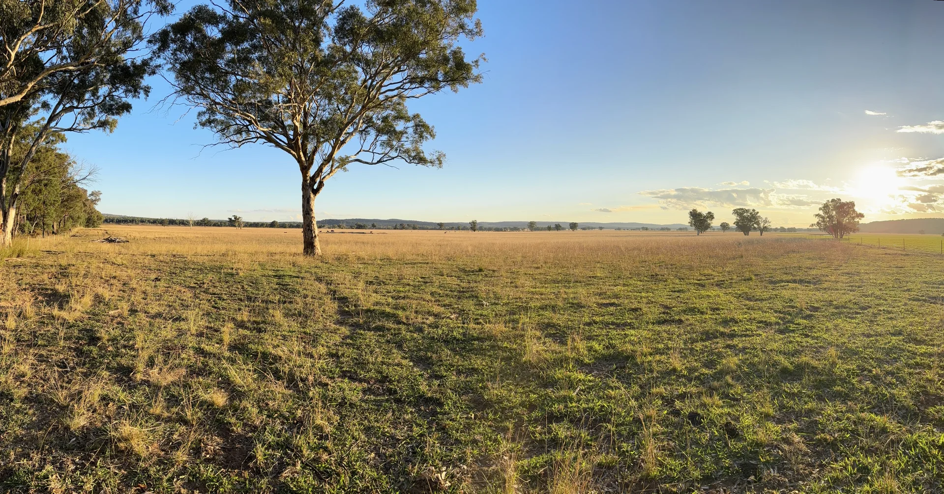 Additional image 33 of 2824 Neilrex Road, Coolah NSW 2843