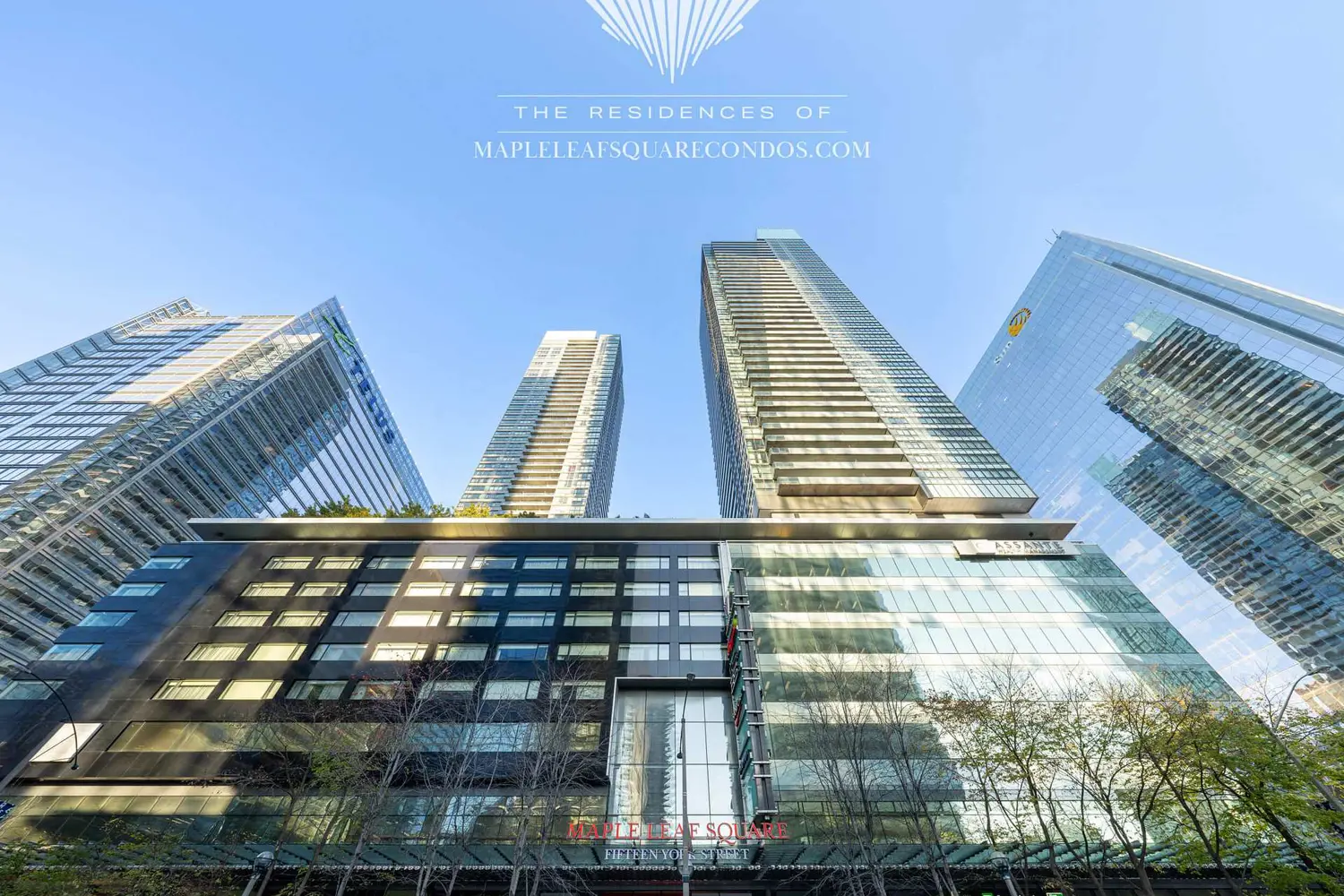 65 Bremner Boulevard 3805