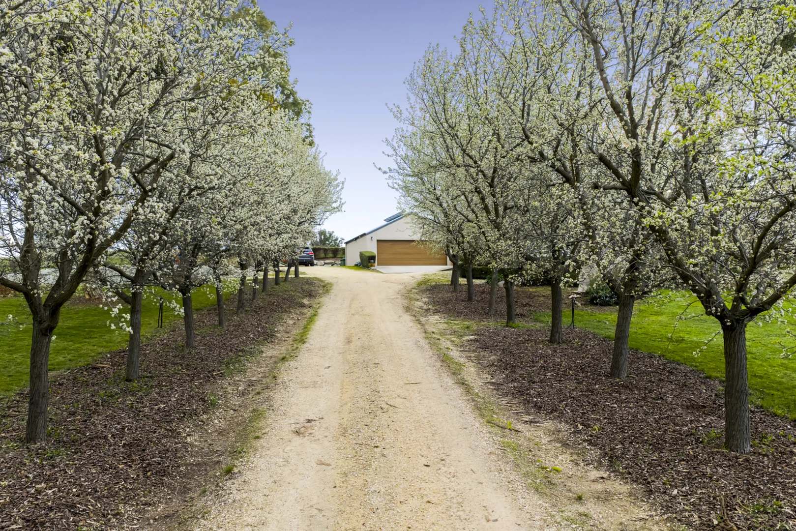 Additional image 8 of 481 Bendigo-Sutton Grange Road, Elphinstone VIC 3448
