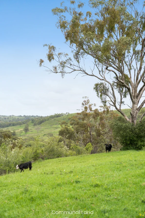 Additional image 40 of 10 Alexander Way, Mount Hunter NSW 2570