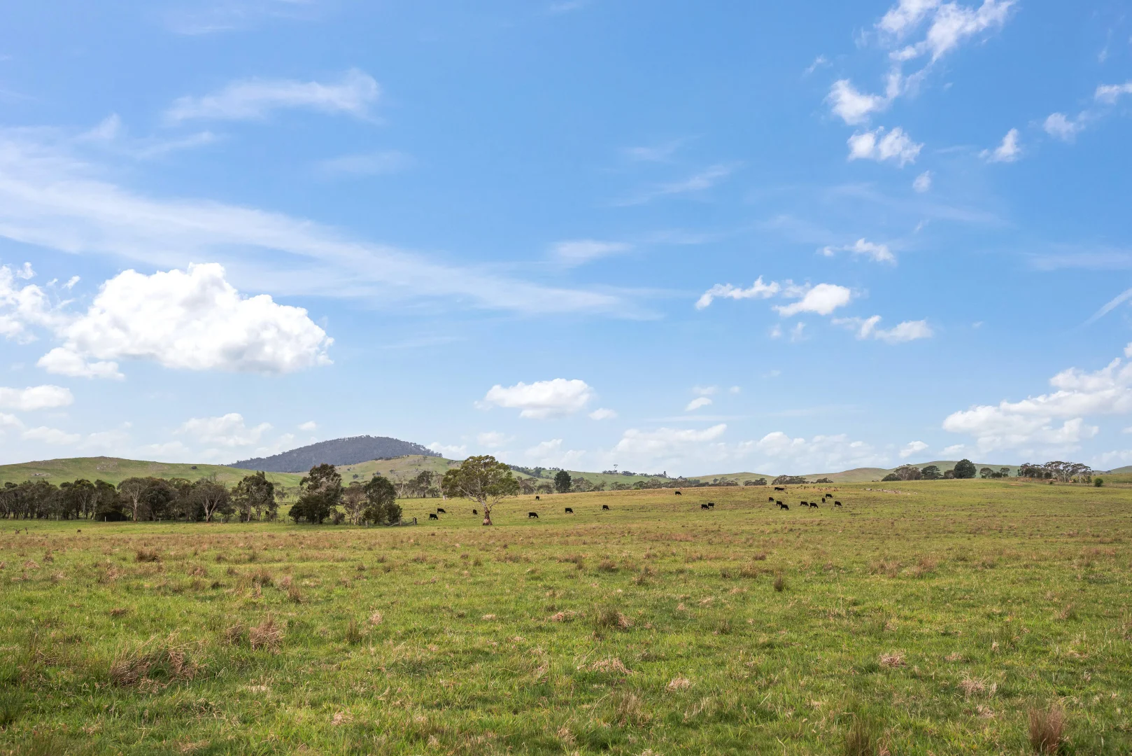 Additional image 22 of 536 Cooma Road, Braidwood NSW 2622