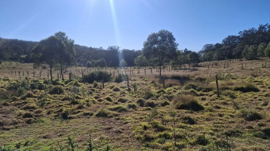 Additional image 8 of Lot 7 Donovan Road, Cabarlah QLD 4352