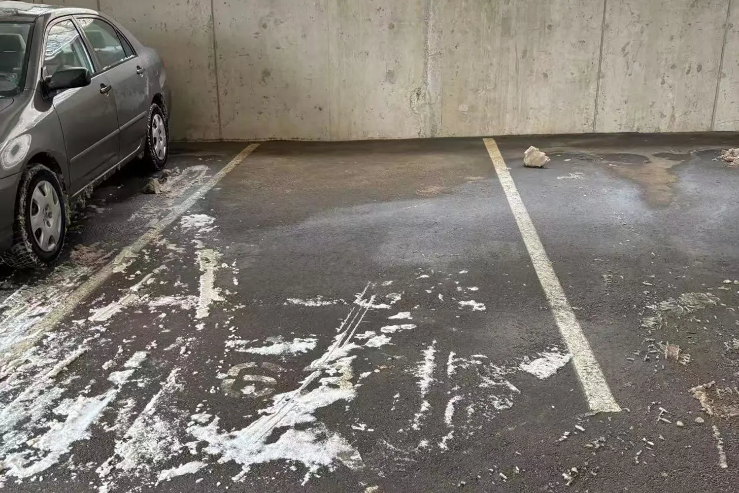 Additional image 8 of 1219 Gordon Street 514