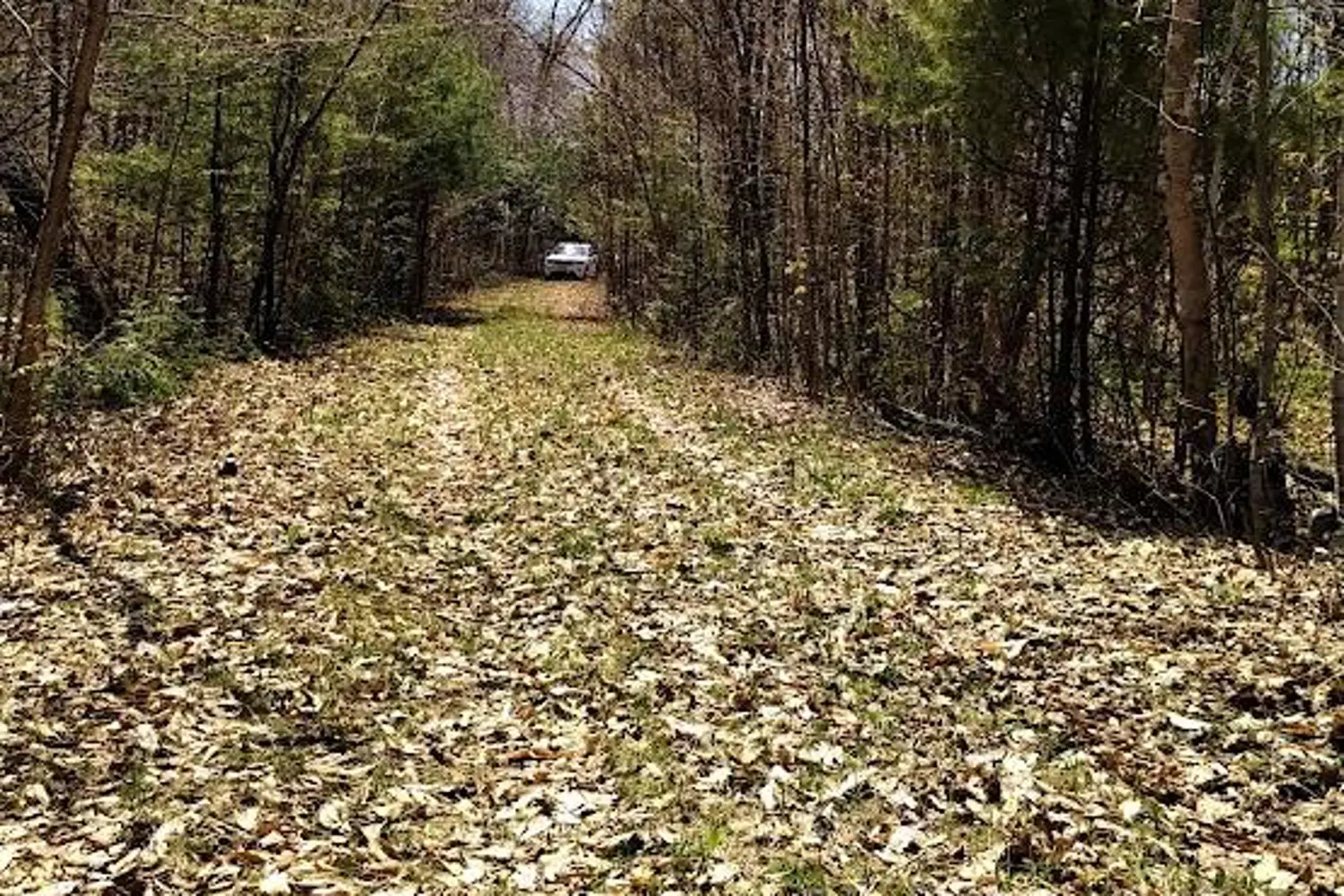 Additional image 9 of 153 Highway 124