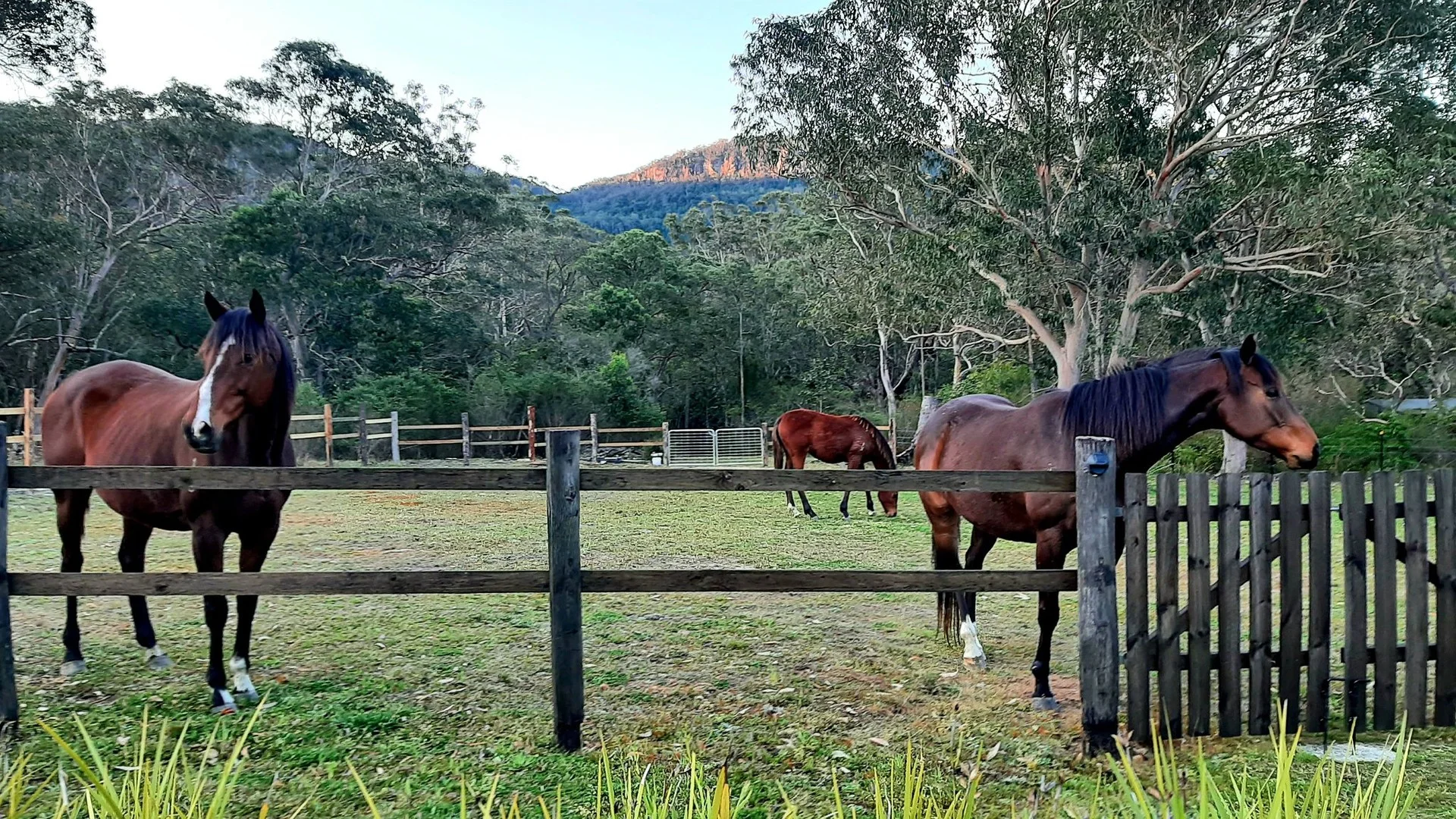 Additional image 5 of 194 Bendeela Road, Kangaroo Valley NSW 2577