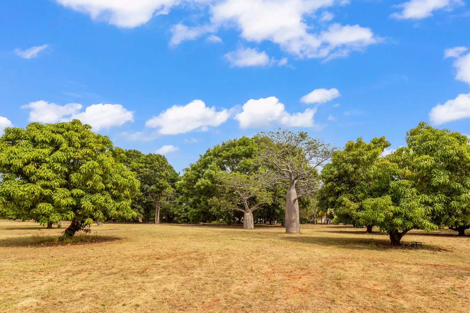 Additional image 4 of 9 Wright Street, Derby WA 6728