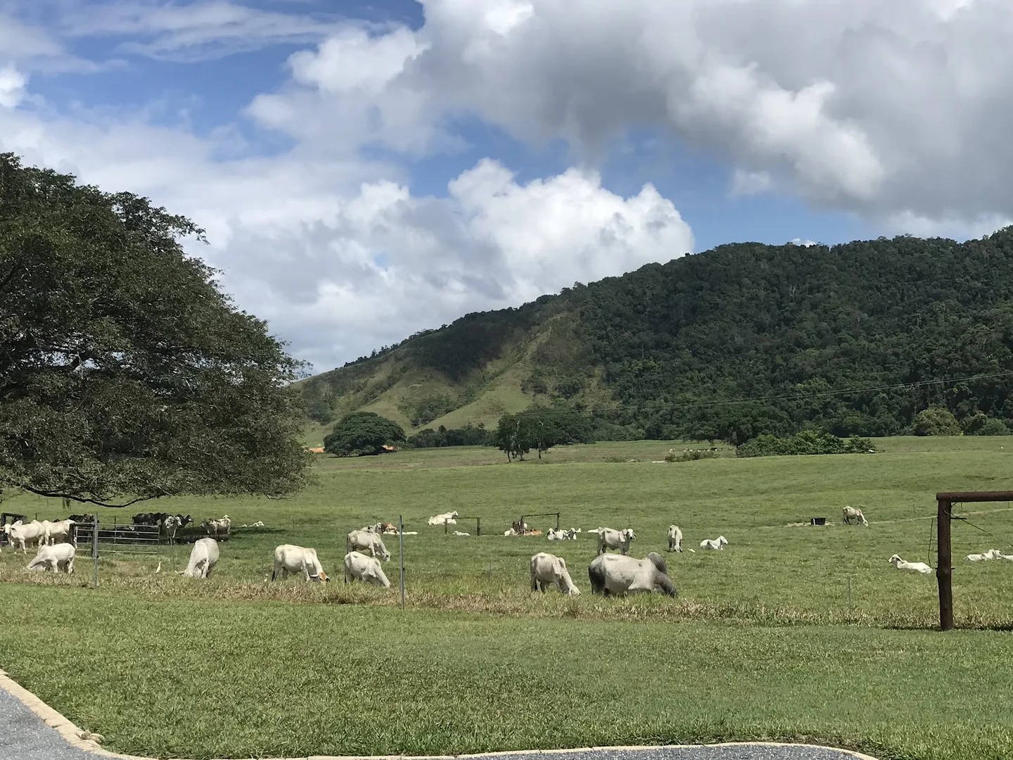 Additional image 18 of 18-20 Dagmar Street, Daintree QLD 4873