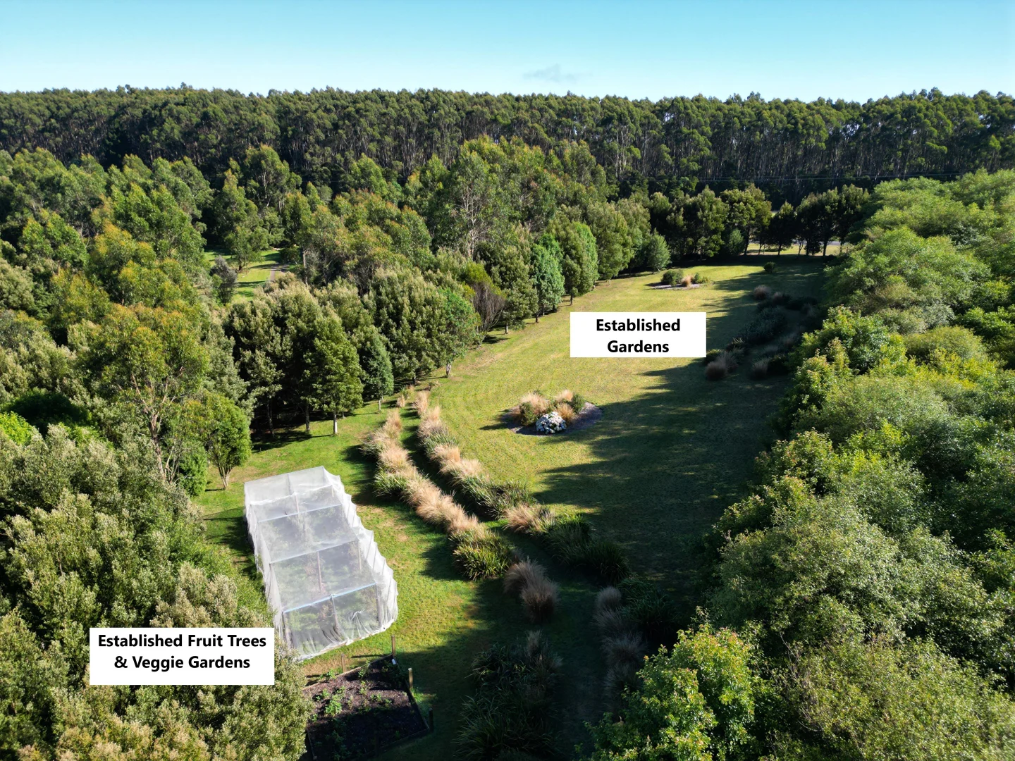 Additional image 5 of 4695 Colac Lavers Hill Road, Wyelangta VIC 3237