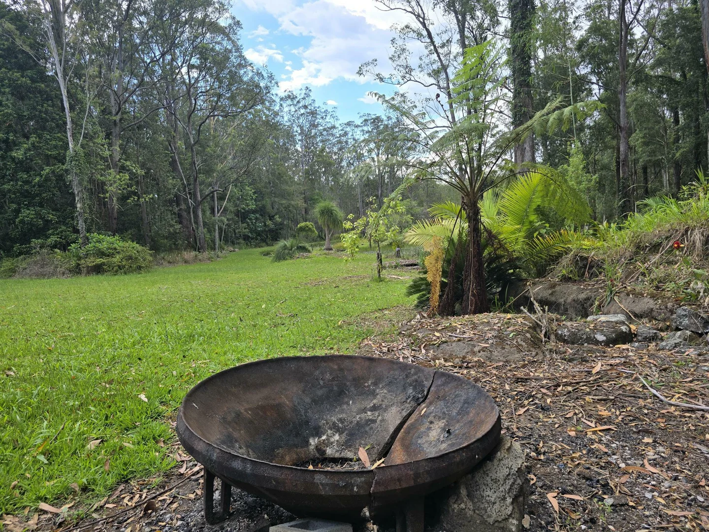 Additional image 23 of 145-159 Archville Station Rd, Bonville NSW 2450