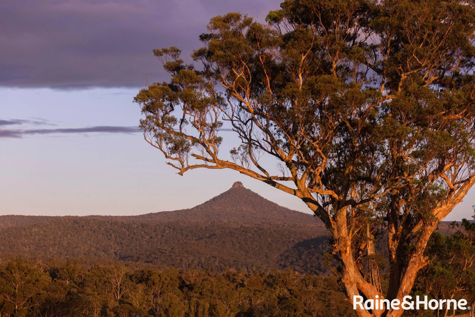 Additional image 8 of Lots 1-4, 265-266 Mimosa Park Road (via Milton), Morton NSW 2538