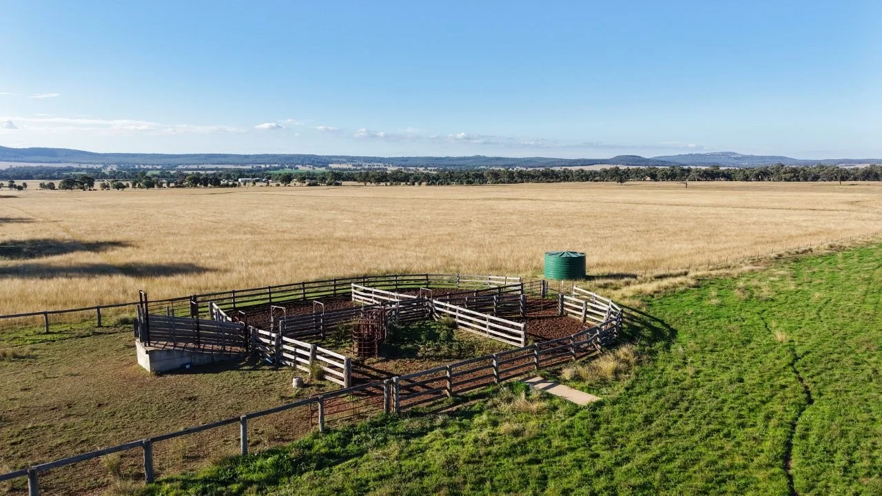 Additional image 45 of 3761 Neilrex Road, Neilrex NSW 2831