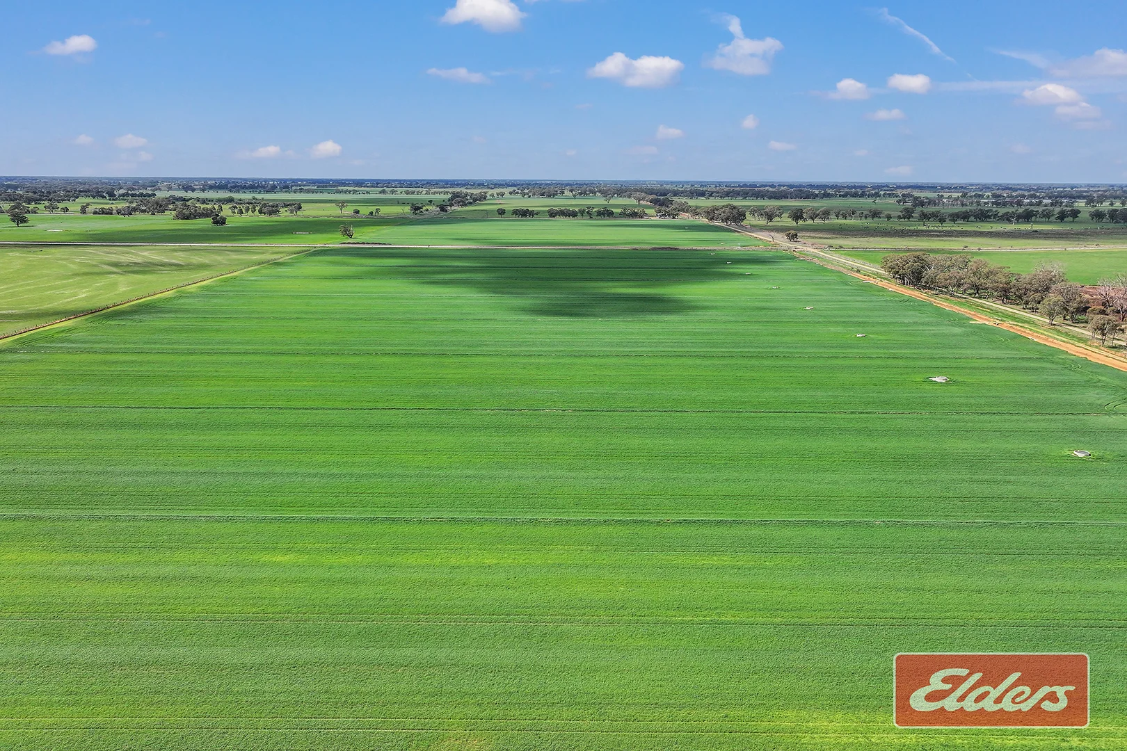 Additional image 33 of 1350 Ryan Road, Kyabram VIC 3620