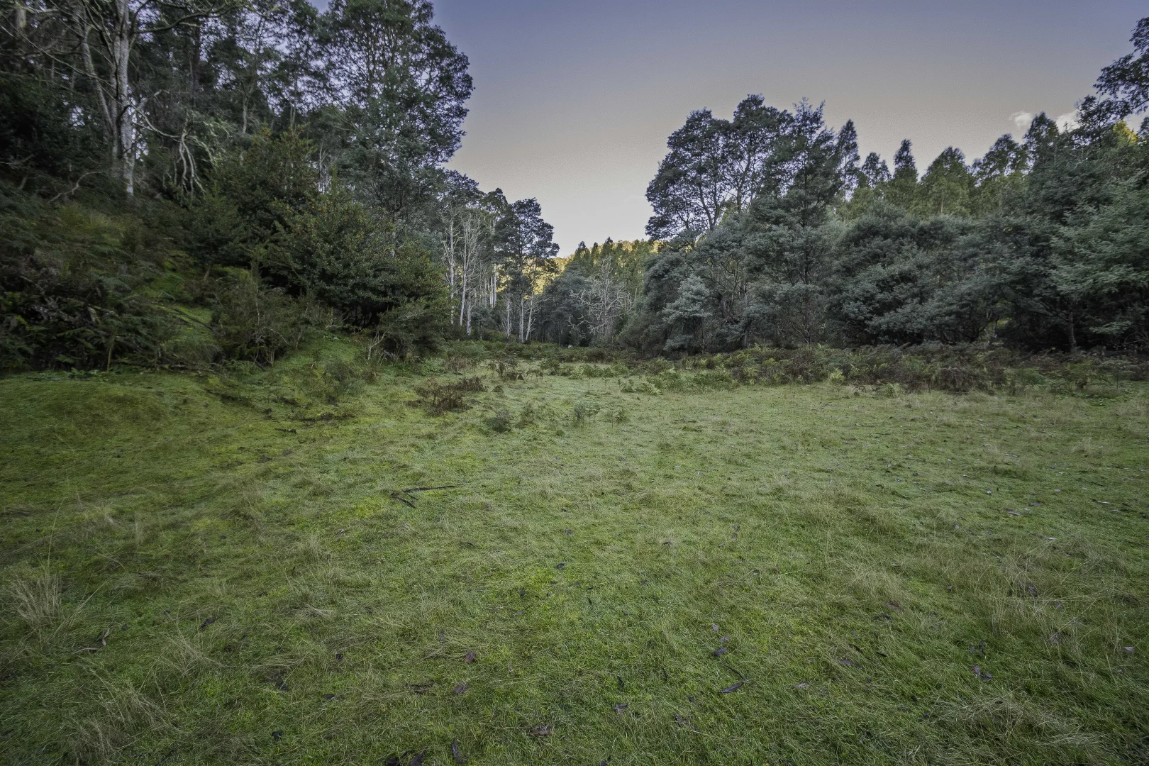 Additional image 31 of Judbury TAS 7109