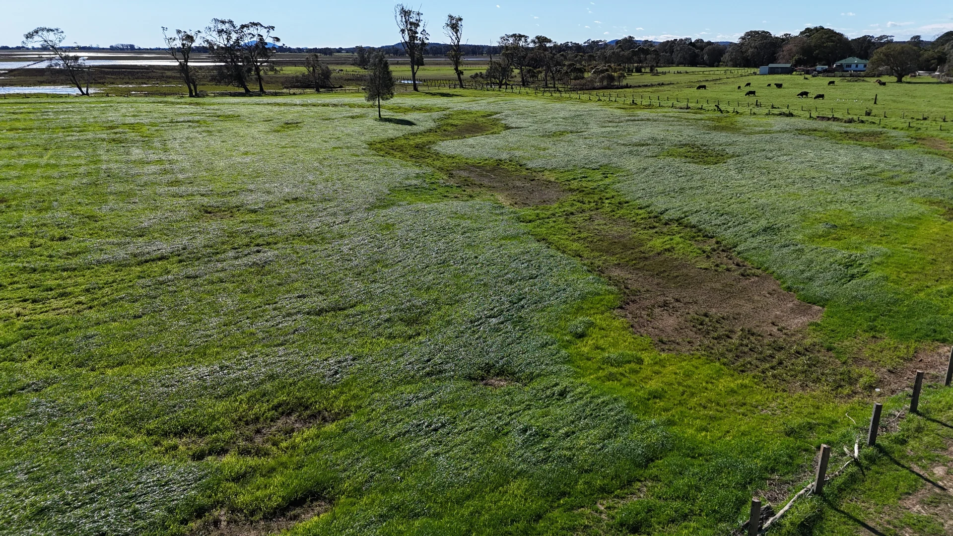 Additional image 16 of 46 Upper Belmore River Rd, Belmore River NSW 2440