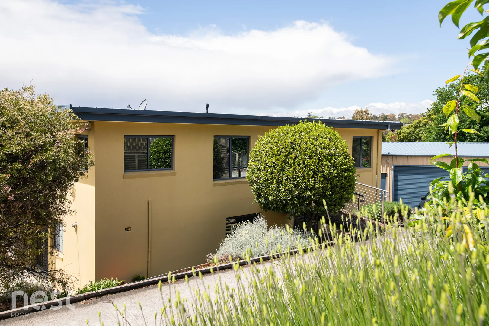 Additional image 9 of 1 & 2/98-100 Penquite Road, Newstead TAS 7250