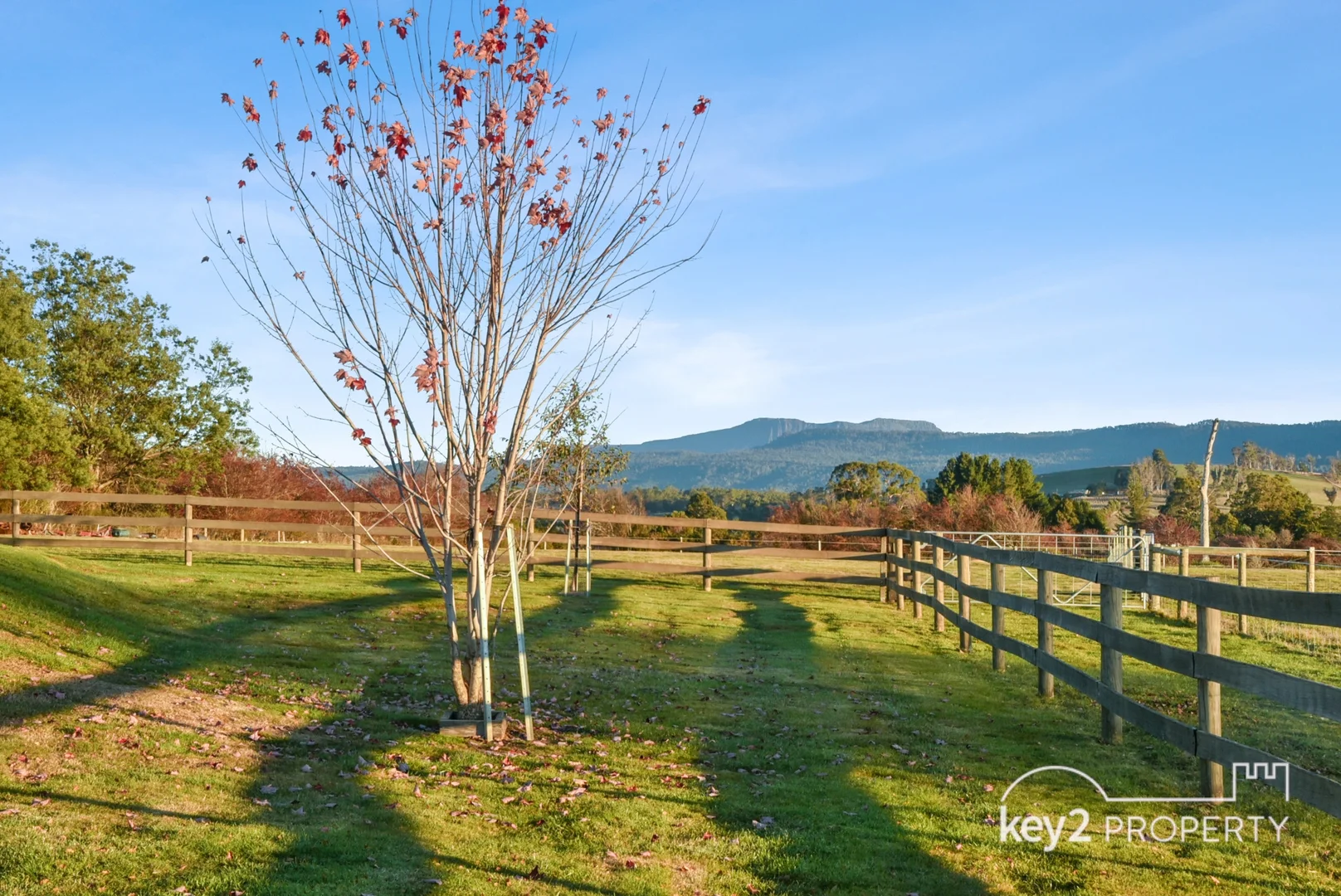 Additional image 29 of 24 Allen Street, Westbury TAS 7303