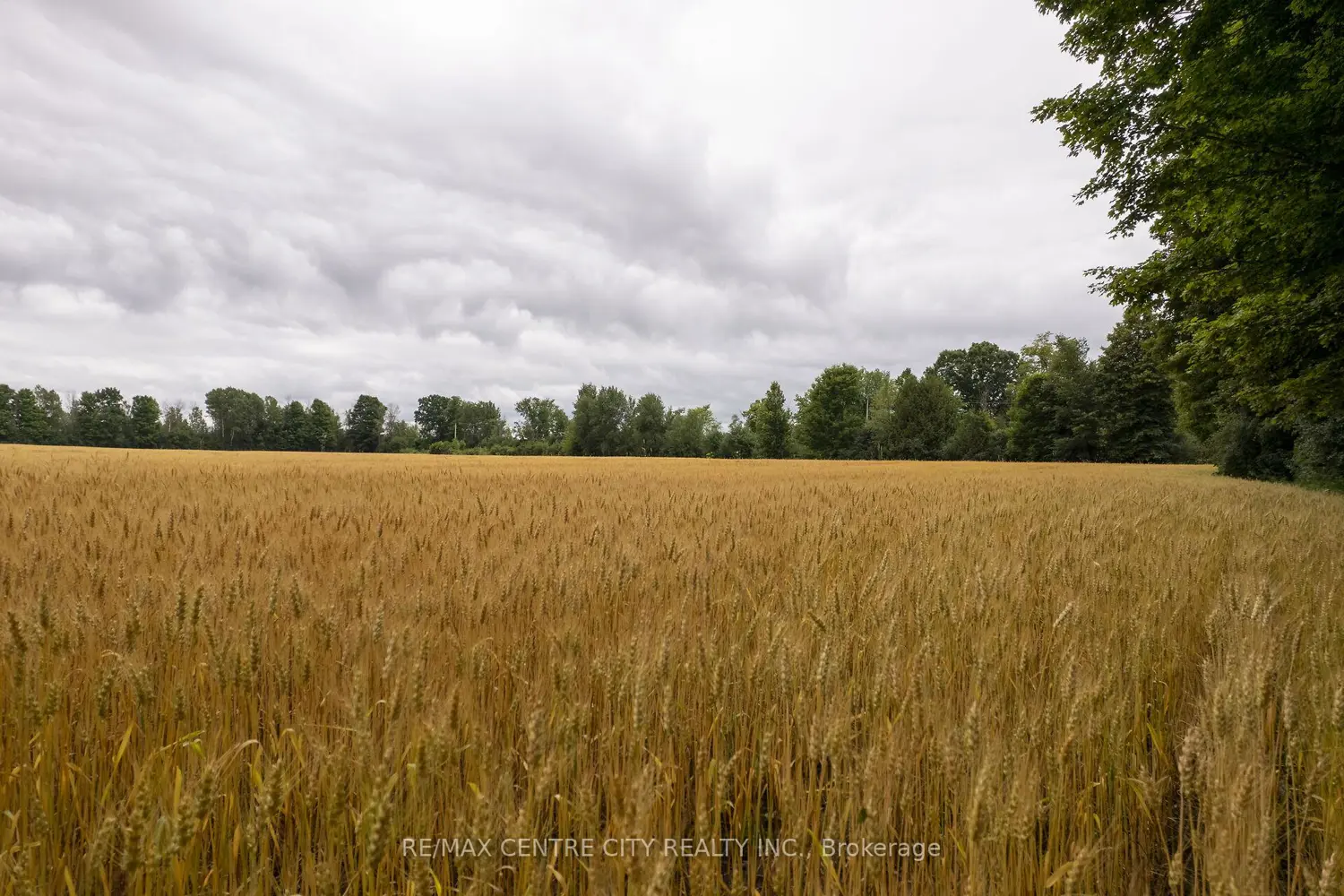 Additional image 17 of Pt Lt 6 Concession 8 Road