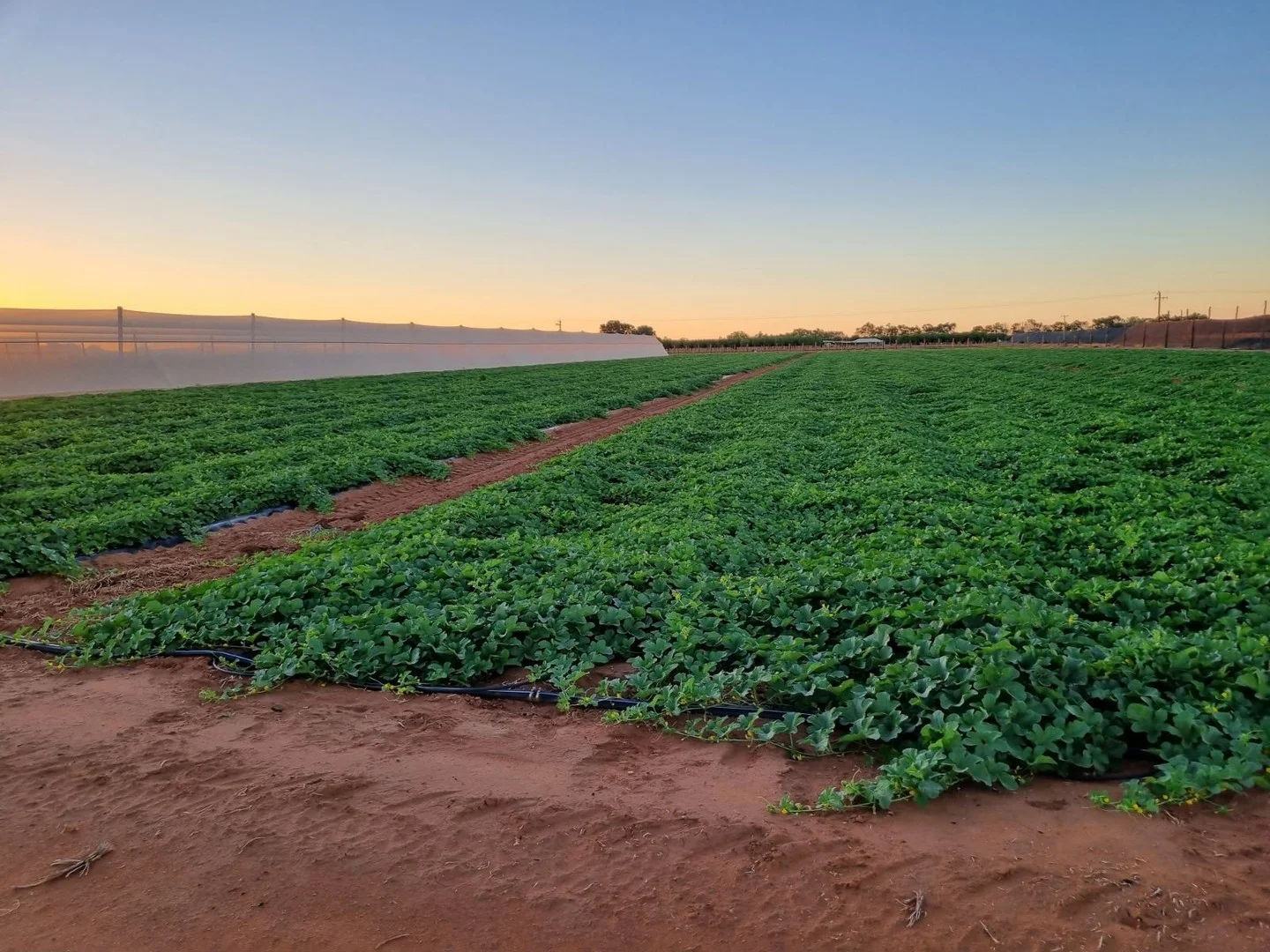 138 North River Road, North Plantations WA 6701