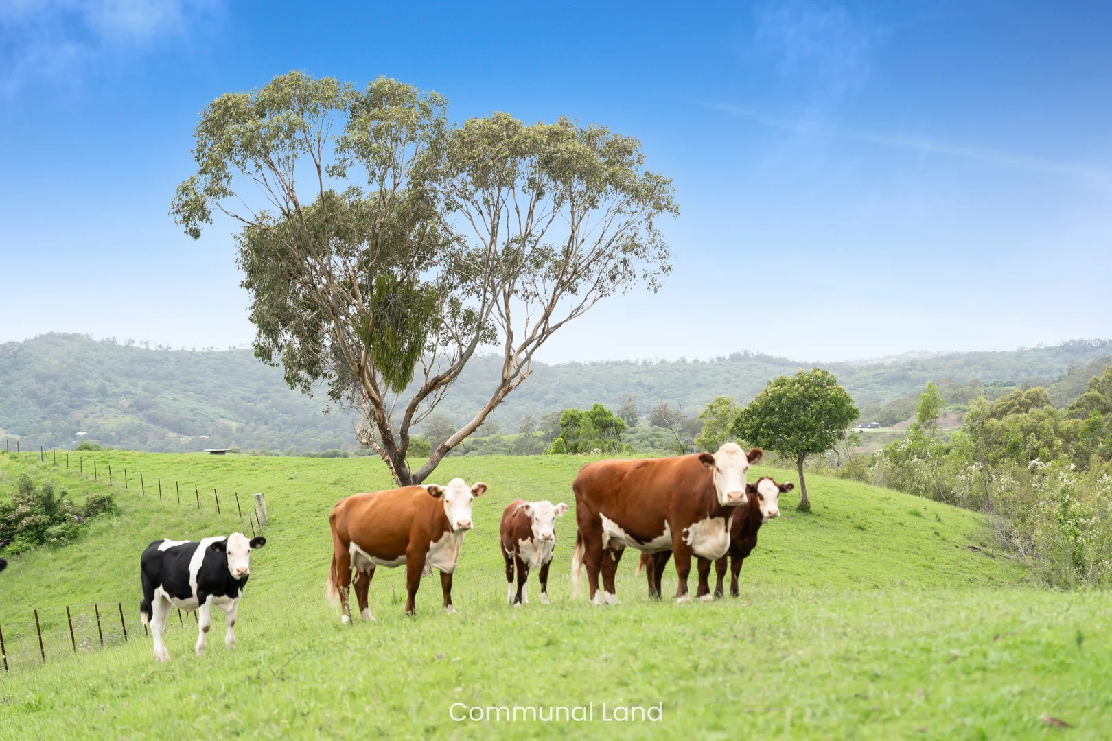 Additional image 34 of 10 Alexander Way, Mount Hunter NSW 2570