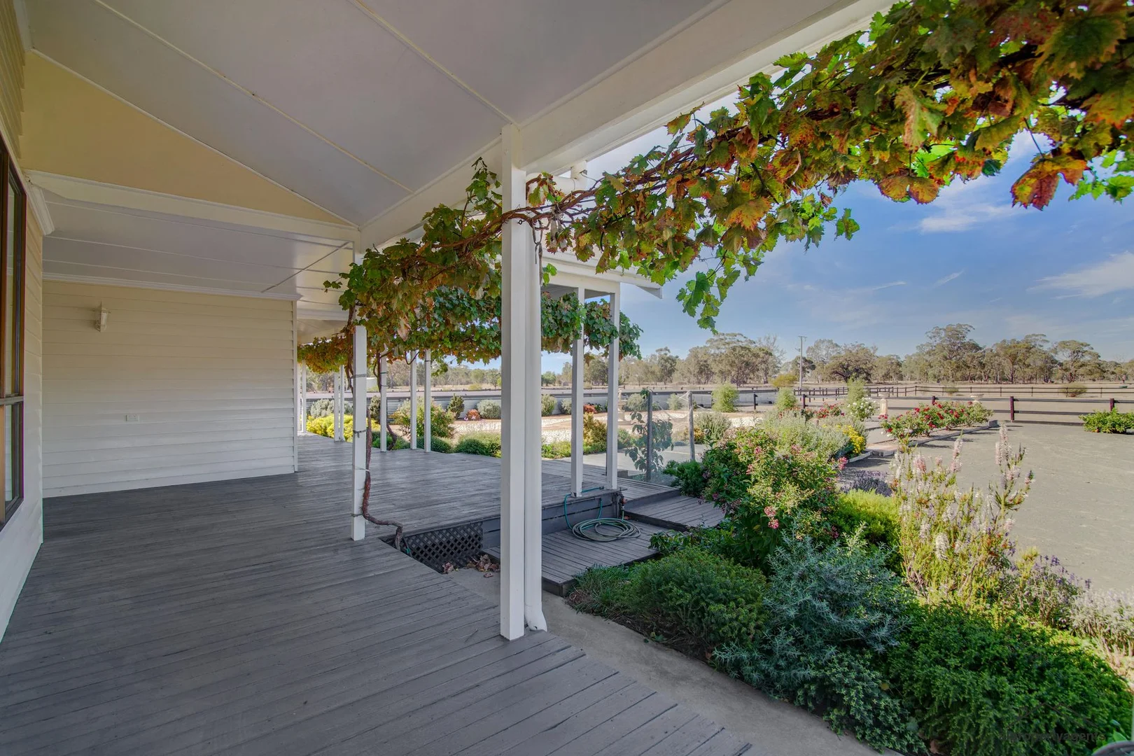 Additional image 2 of 263 Horsham-Noradjuha Road, Lower Norton VIC 3401