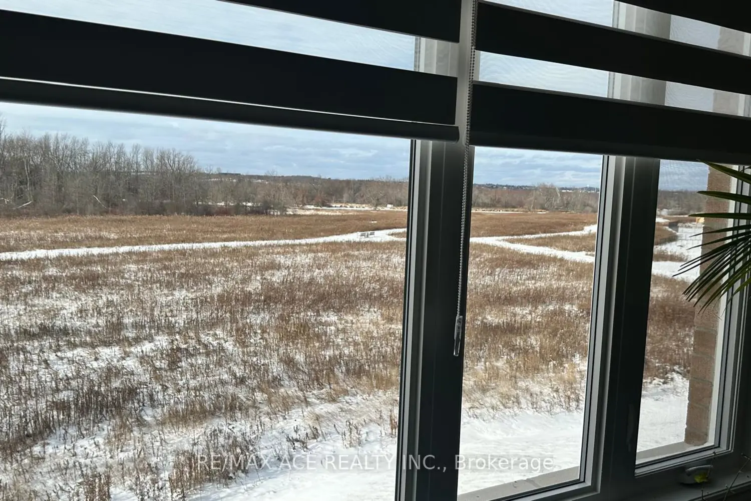 Additional image 10 of 50 Golden Meadows Drive