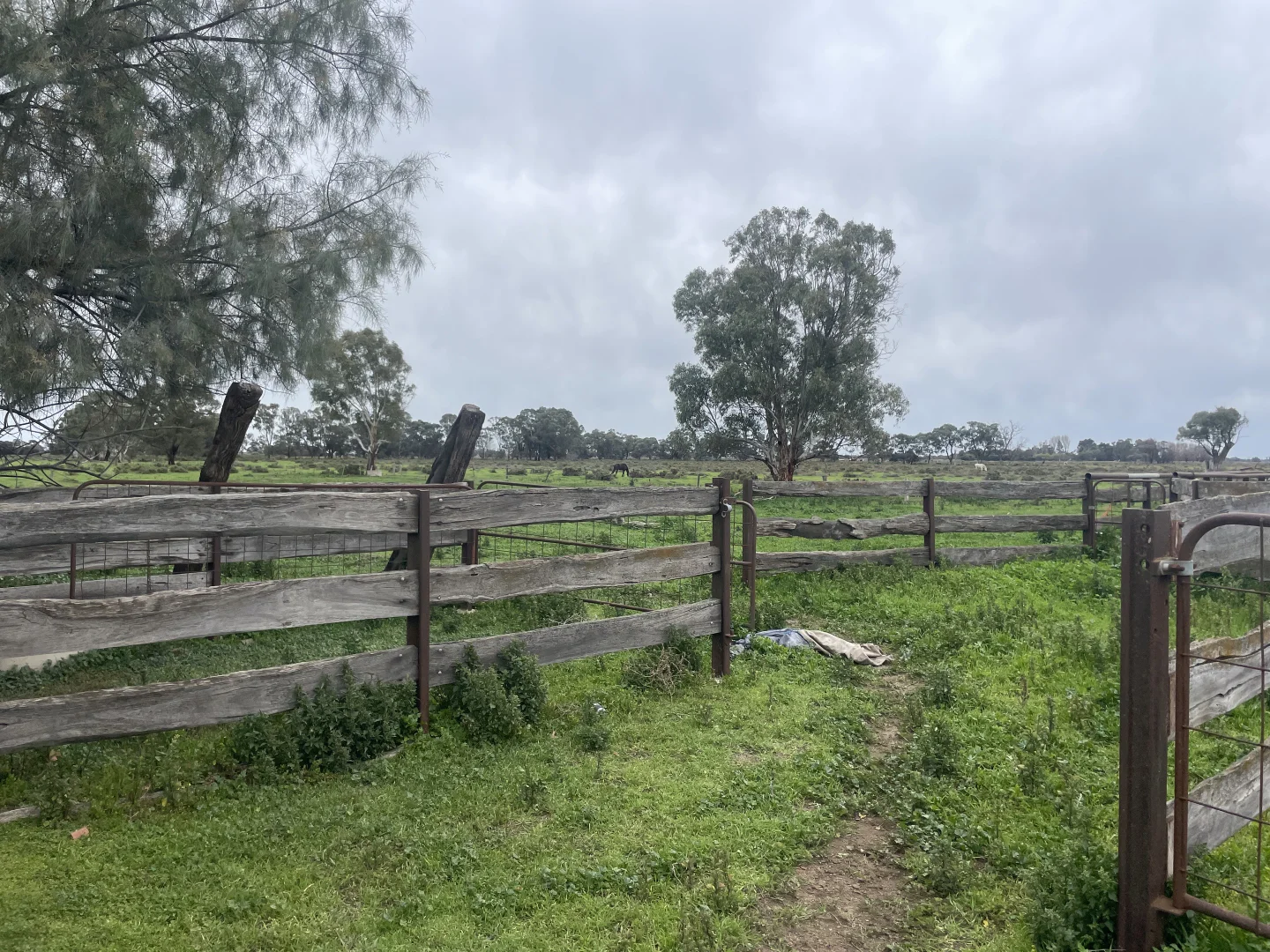 Additional image 12 of 'Yileen' 4371 Moulamein Road, Tullakool NSW 2732