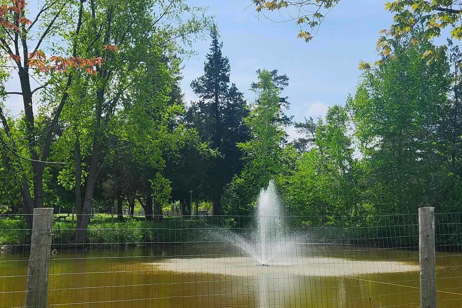 Additional image 18 of 9338 West Ipperwash Road Jj22