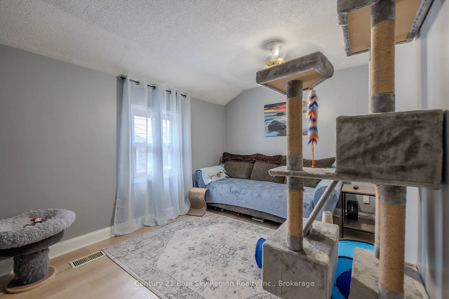 Additional image 16 of 242 Princess Street