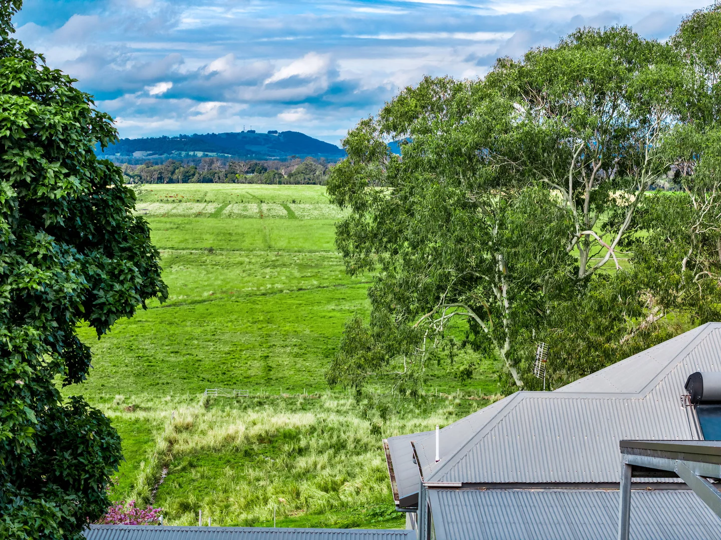 Additional image 48 of 1368 Wyrallah road, Tucki Tucki NSW 2480