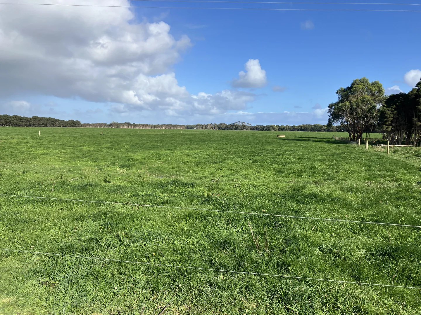 Additional image 11 of 301 Woolnorth Road, Woolnorth TAS 7330