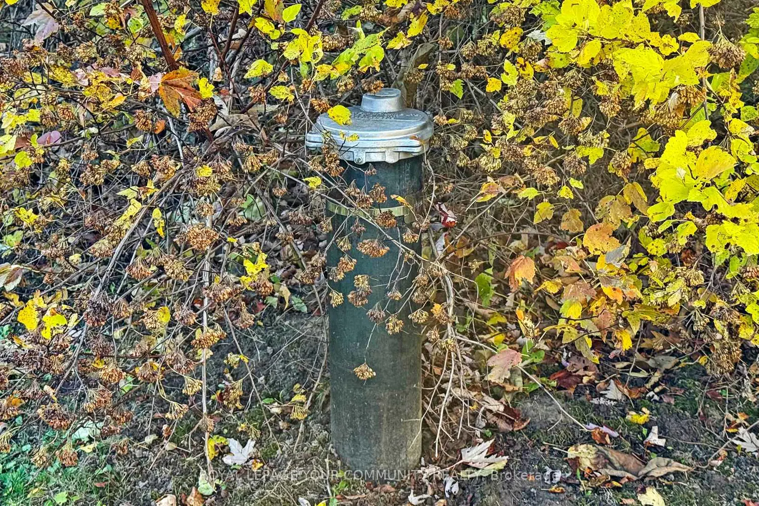 Additional image 20 of 1538 Concession Road 4 Concession