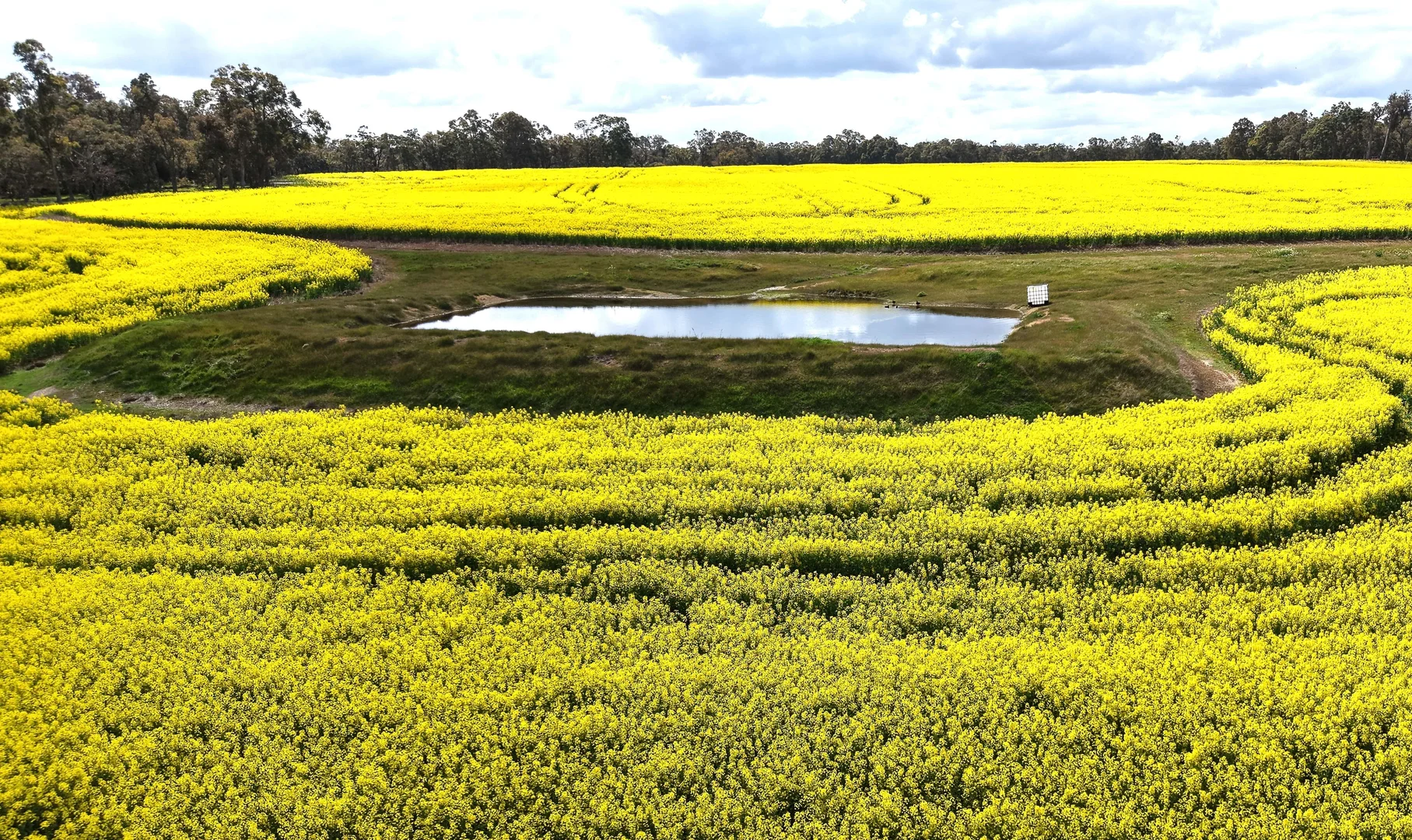 Additional image 7 of 171 Kwornicup Road, Forest Hill WA 6324