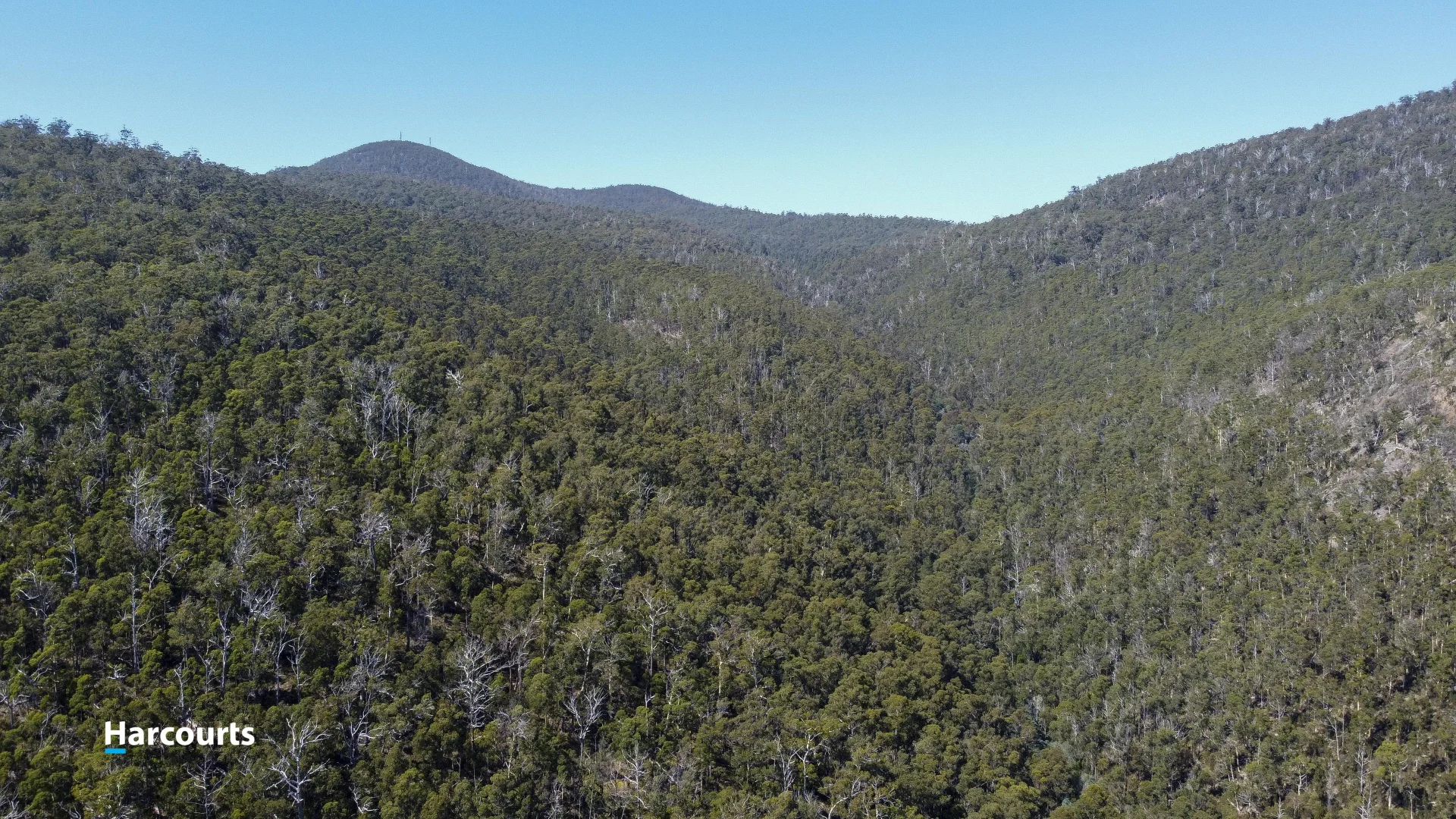 Additional image 8 of RA Basin Road, Grove TAS 7109