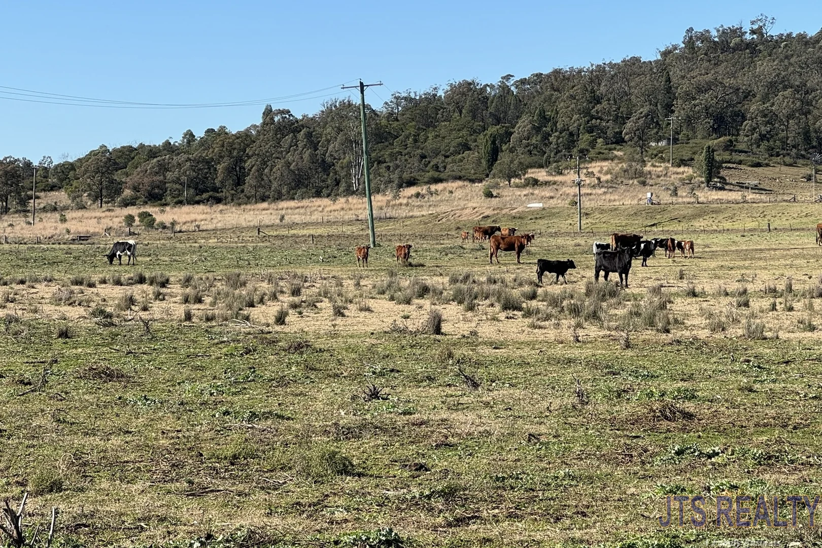 Additional image 9 of 2039 Golden Highway, Sandy Hollow NSW 2333