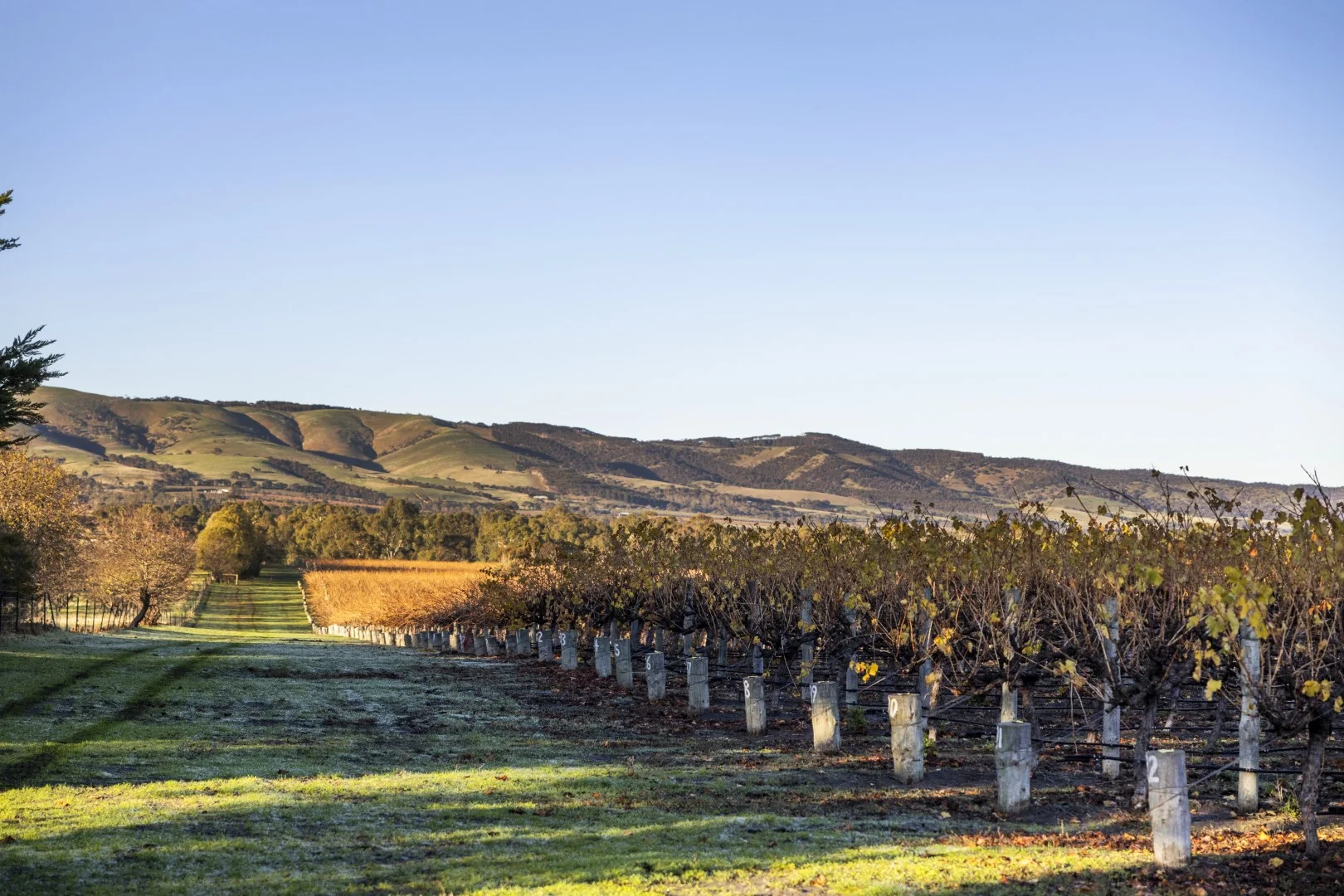 Additional image 14 of Lot 422 Little Road, Aldinga SA 5173