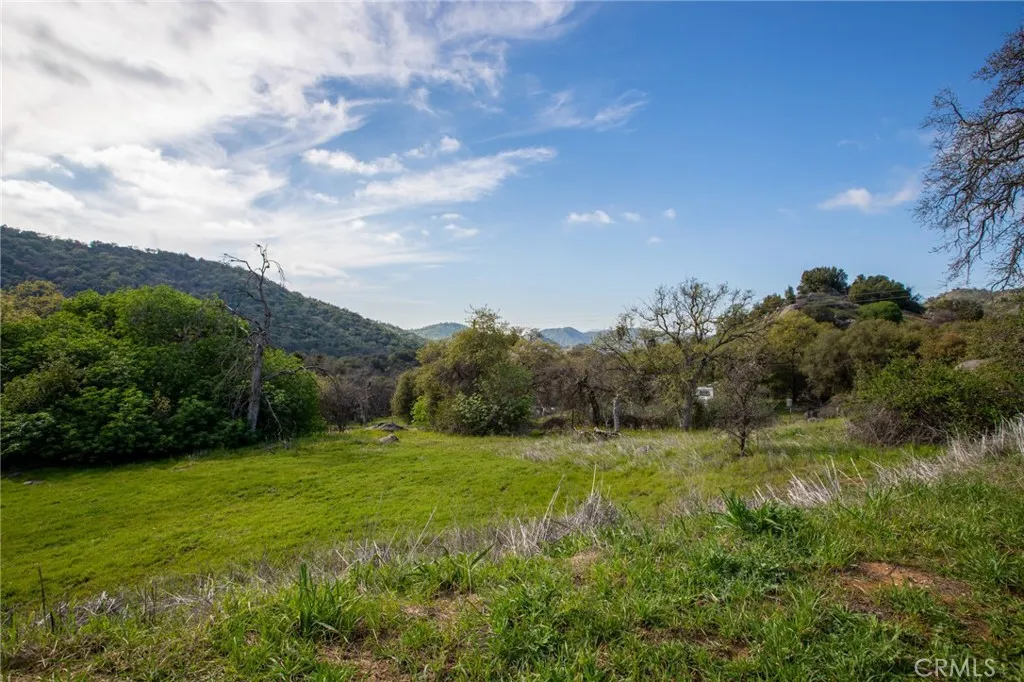 Additional image 61 of 49980 Daffodil Ln, Squaw Valley, CA 93675