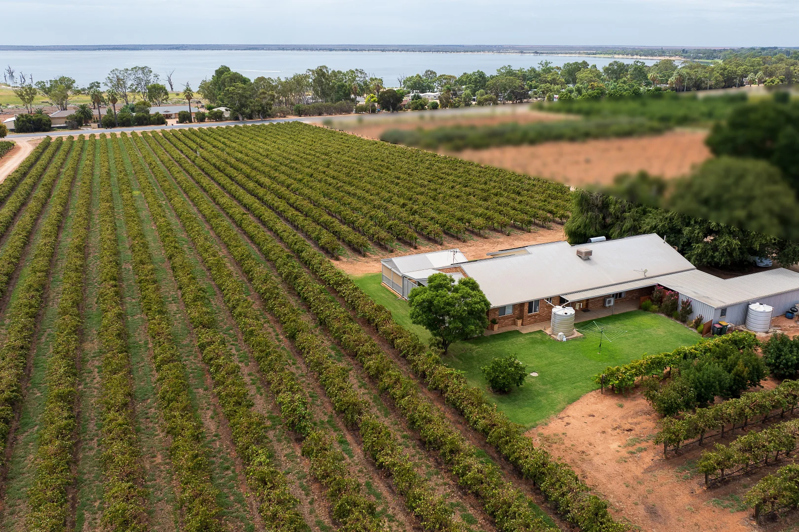 Additional image 5 of 17324 Sturt Highway, Barmera SA 5345