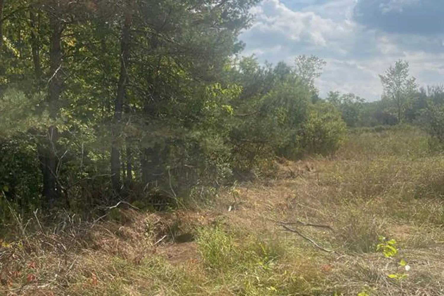 Additional image 13 of 00 Adams-Cummings Road