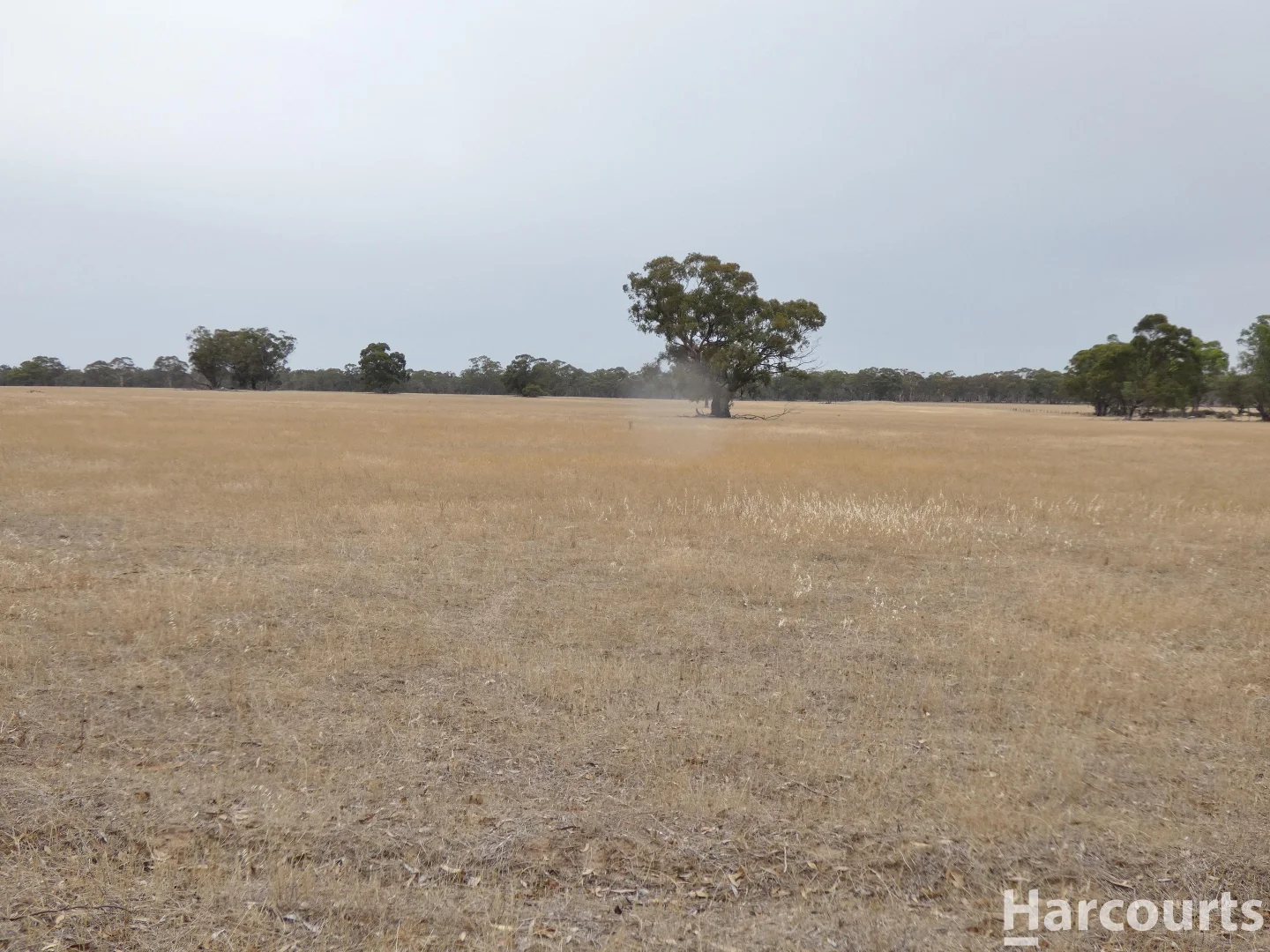 Additional image 4 of . Elliots Lane, Clear Lake VIC 3409