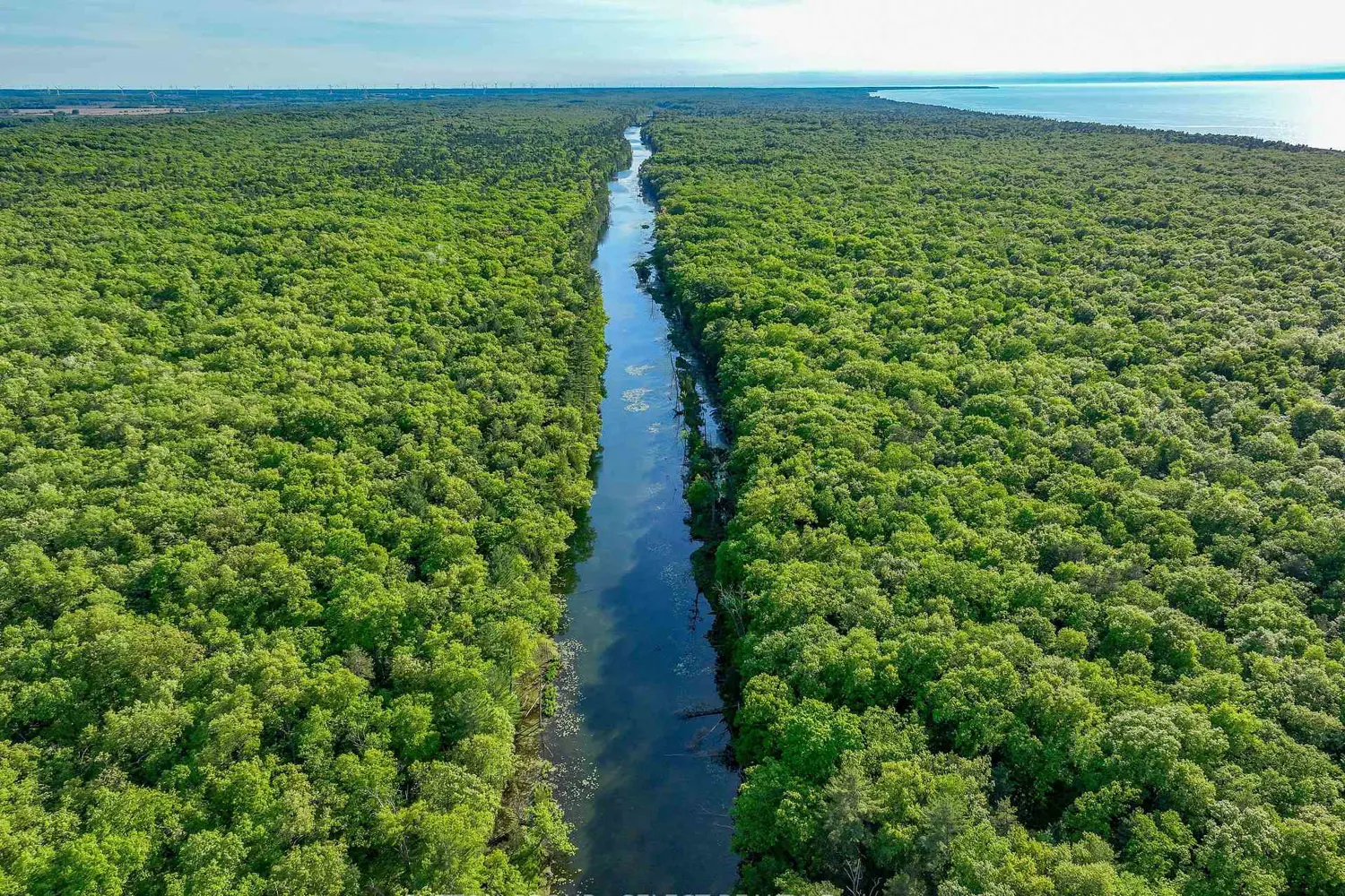 Additional image 17 of 10142 Pinery Bluffs Road