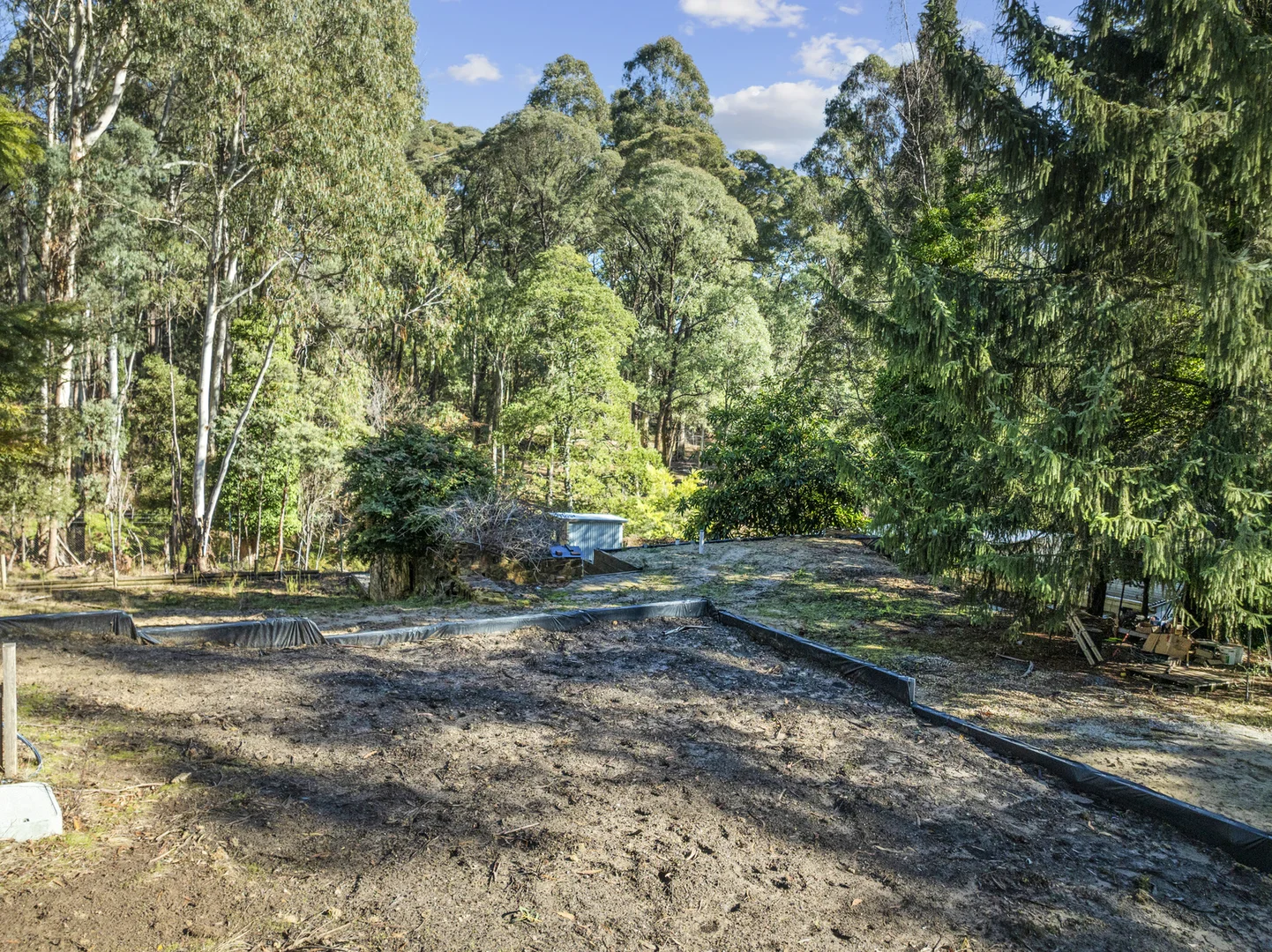 Additional image 7 of 65 Rosella Street, Sawmill Settlement VIC 3723