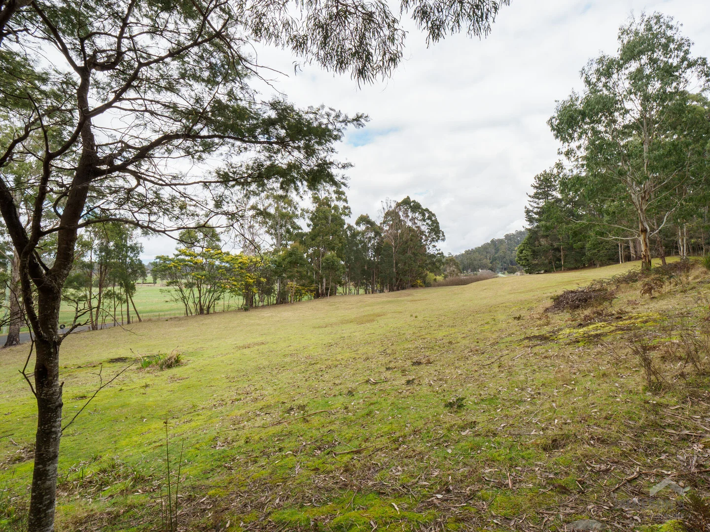 Additional image 12 of 493 Weetah Road, Weetah TAS 7304