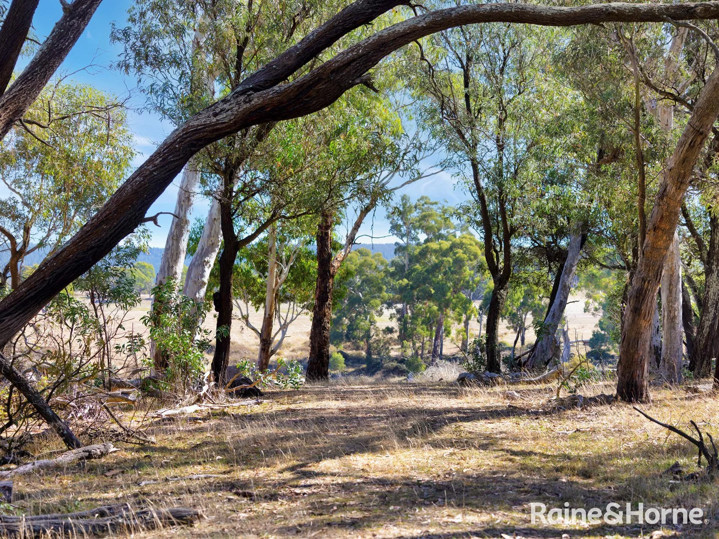 Additional image 10 of Part/2899 Great Western Highway, Meadow Flat NSW 2795