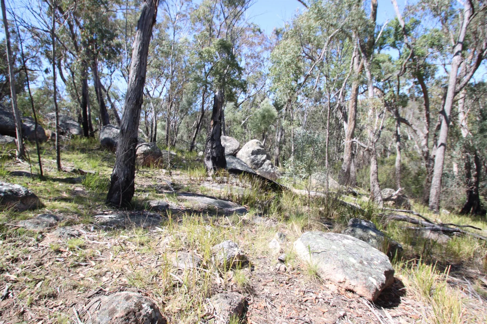 Additional image 23 of Lot 1 Brusharbers Road, Tenterfield NSW 2372