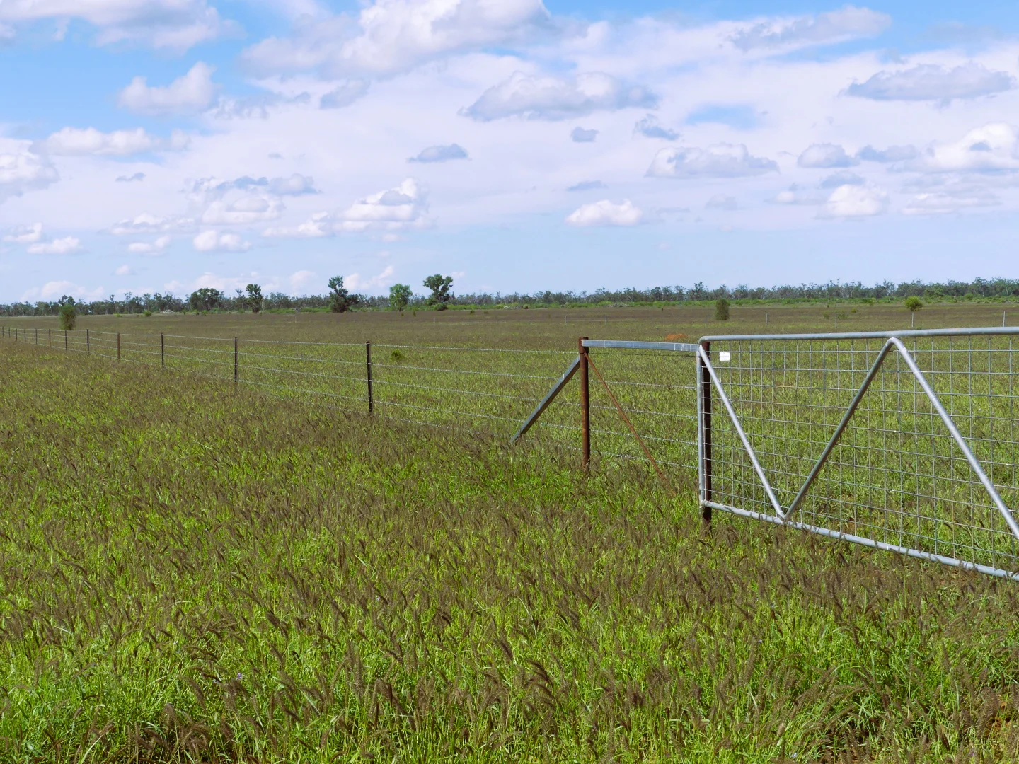 Additional image 13 of 'Ula Ula' 210 Ula Ula Road, St George QLD 4487