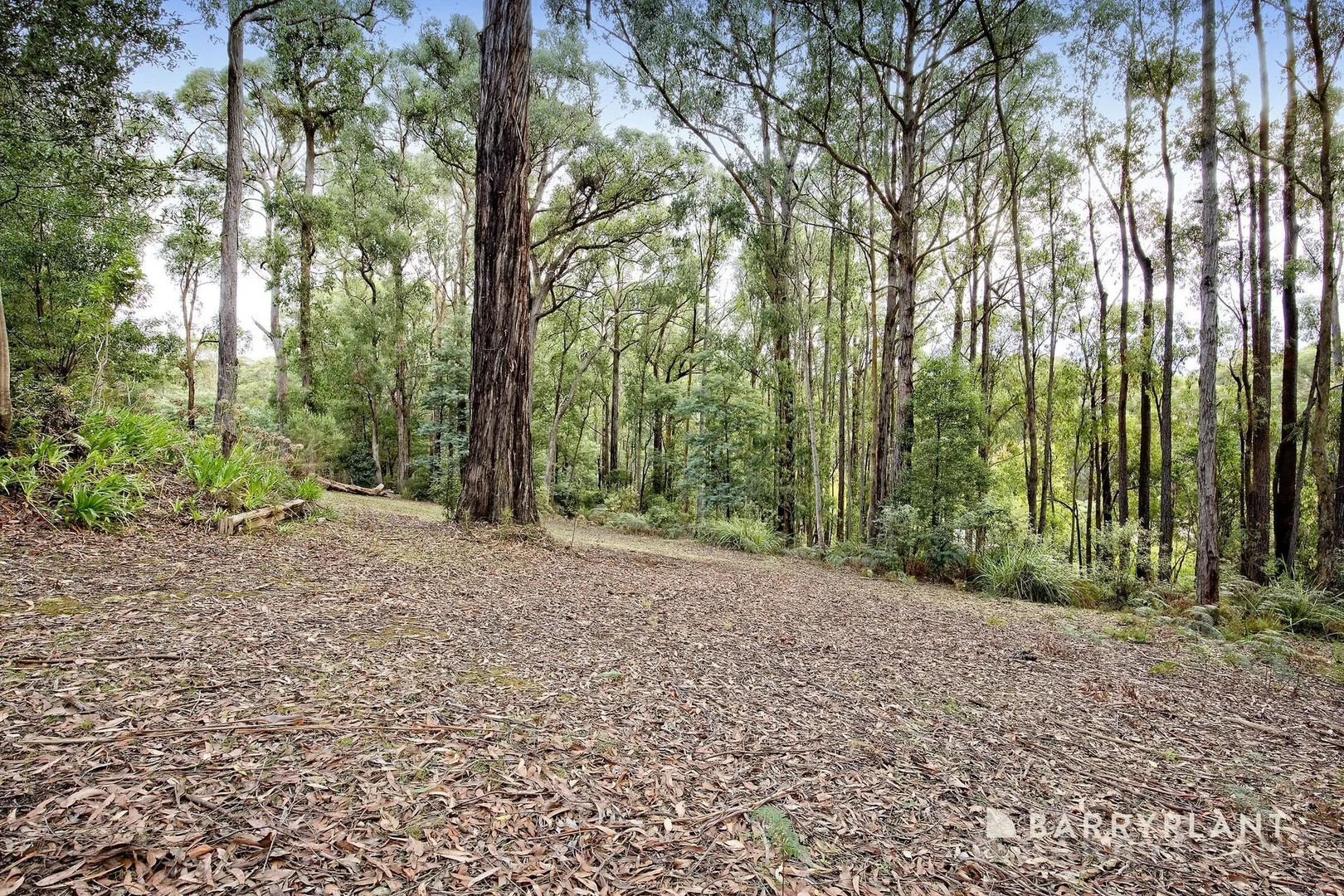 Additional image 18 of 15 Livio Drive, Gembrook VIC 3783