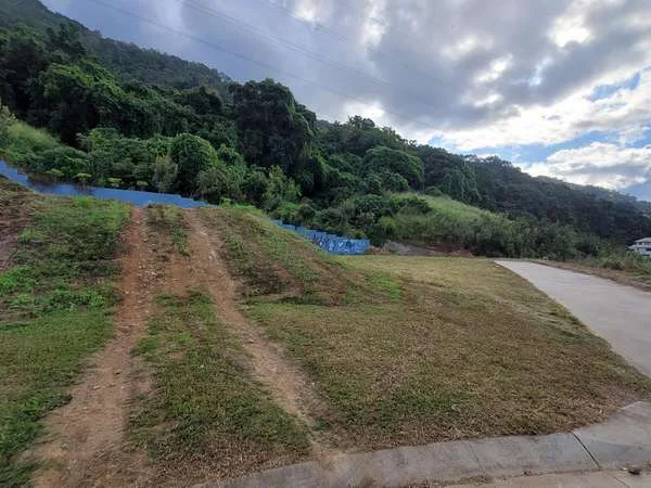 Additional image 22 of 21 Drummer St, Kanimbla QLD 4870