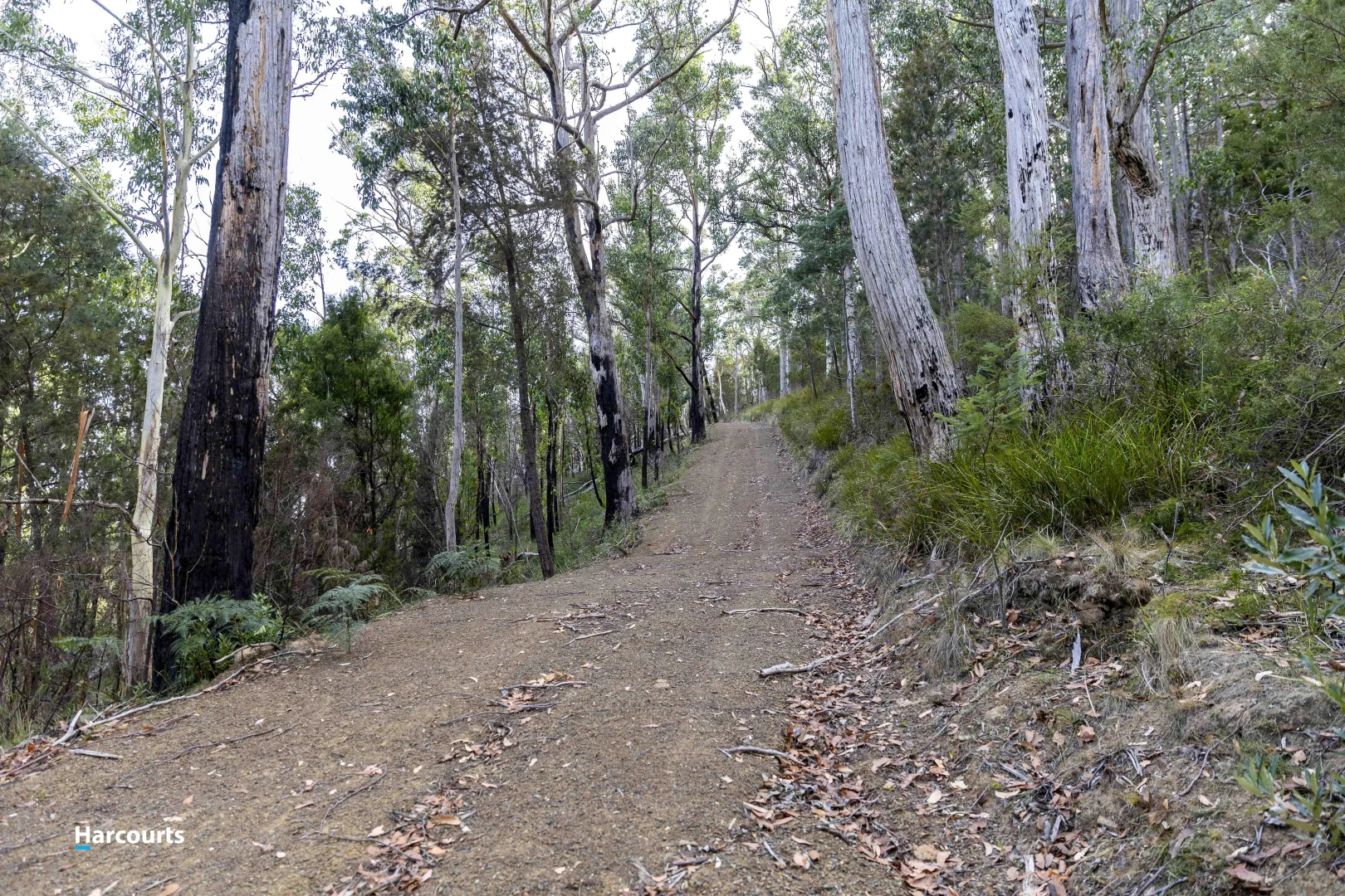 Additional image 37 of RA Basin Road, Grove TAS 7109