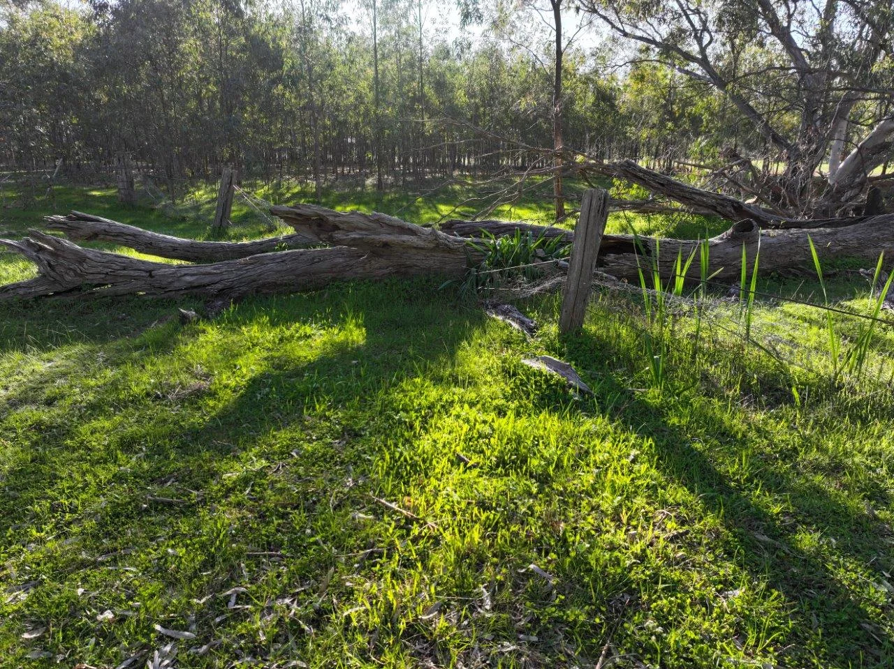 Additional image 18 of Langley Lane, McIntyre VIC 3472